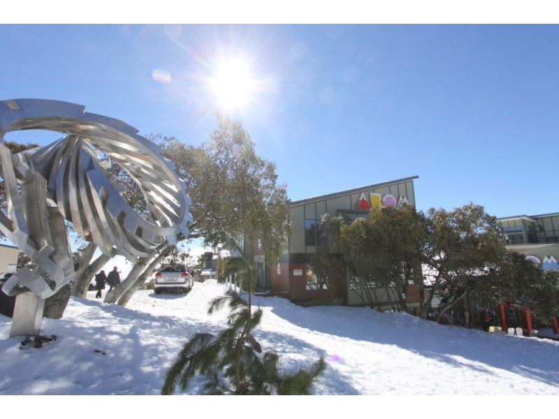 4/106 Summit Rd, Mount Buller VIC 3723