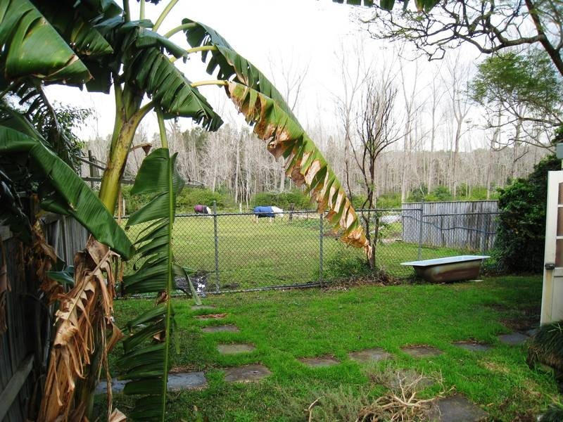 1/5 Macpherson Street, Warriewood NSW 2102