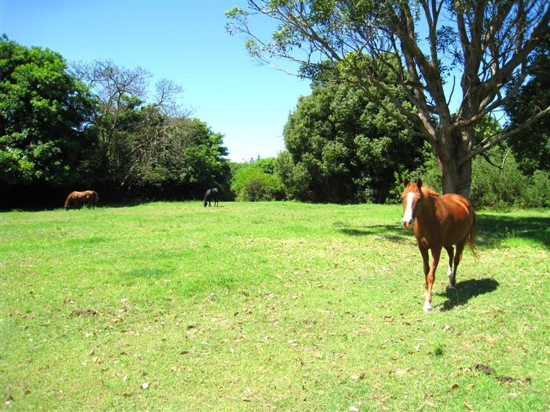 222 Powderworks Road, Elanora Heights NSW 2101