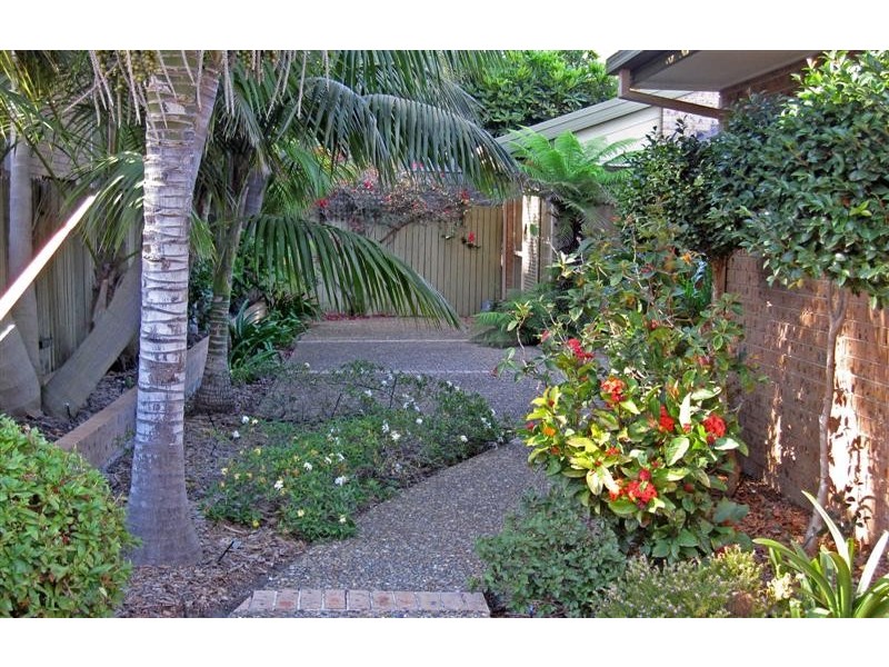 33A Banksia Street, Dee Why NSW 2099