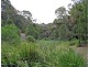 2 Barkala Rd, Bayview NSW 2104