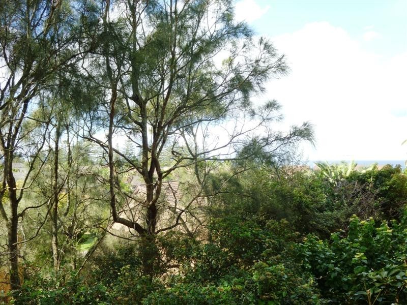 2/16 Darley St, Mona Vale NSW 2103