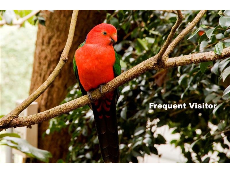 1/92 McCarrs Creek Road, Church Point NSW 2105