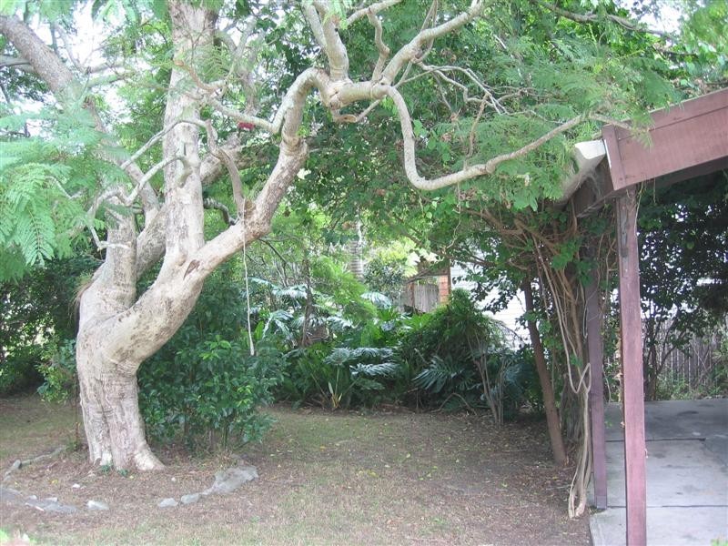 85 Warraba Road, North Narrabeen NSW 2101