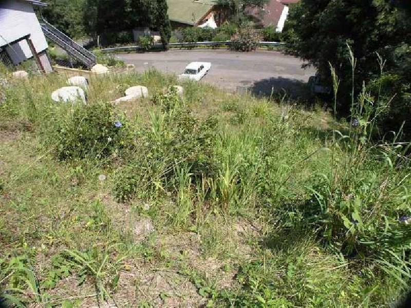 Nullaburra Road, Newport NSW 2106