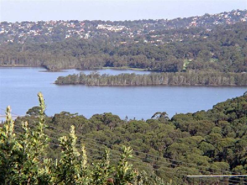 Amaroo Avenue, Elanora Heights NSW 2101