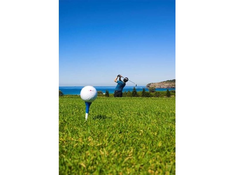 24 Waratah St, Mona Vale NSW 2103