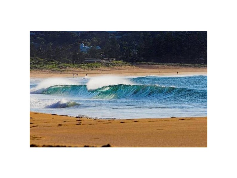 24 Waratah St, Mona Vale NSW 2103