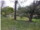 Mona Vale NSW 2103
