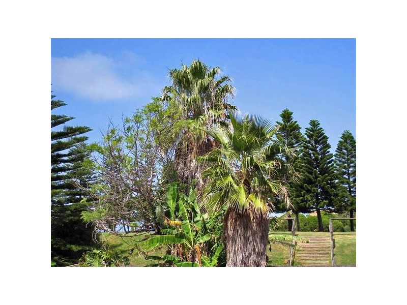 2/35 Seabeach Avenue, Mona Vale NSW 2103