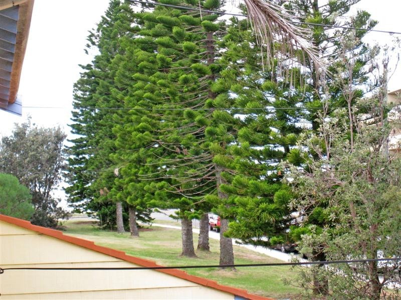 1/4 Darley Street, Mona Vale NSW 2103