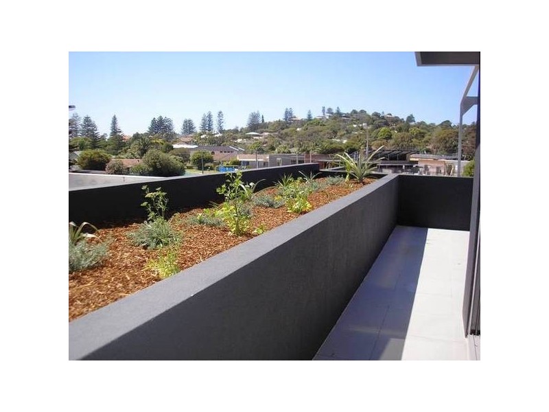 2/313 Barrenjoey Road, Newport NSW 2106