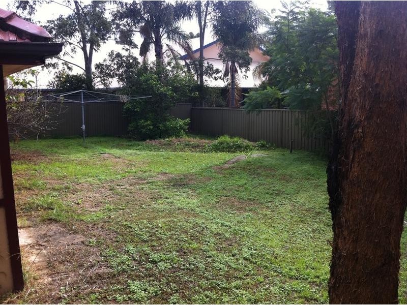 79 Lalor Road, Quakers Hill NSW 2763