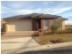 19 Bellinger St, The Ponds NSW 2769