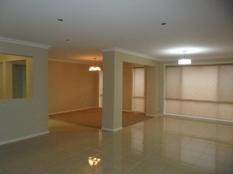 19 Bellinger St, The Ponds NSW 2769