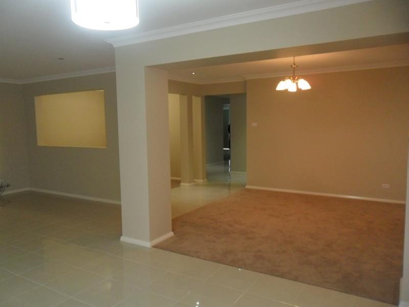 19 Bellinger St, The Ponds NSW 2769