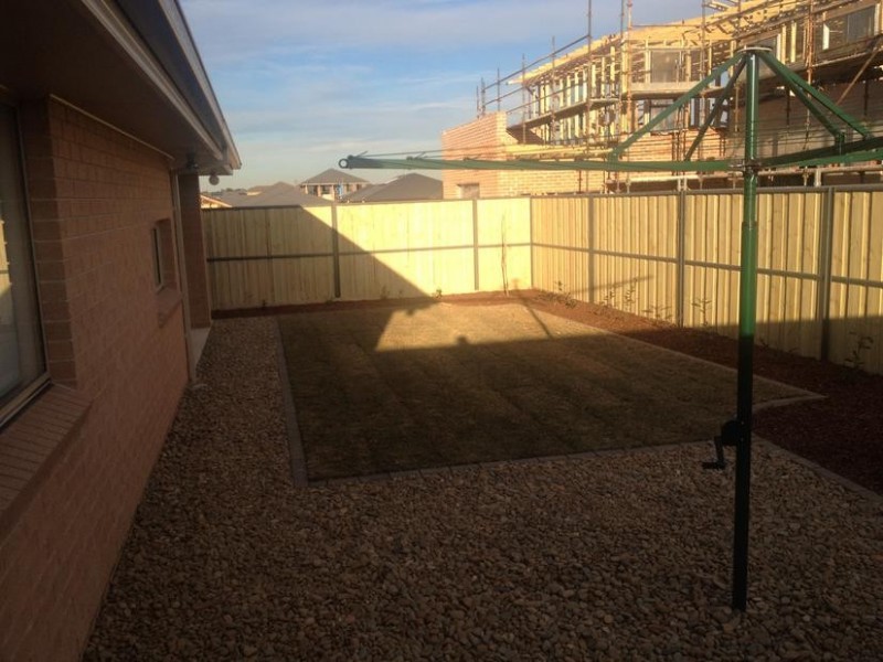 19 Bellinger St, The Ponds NSW 2769