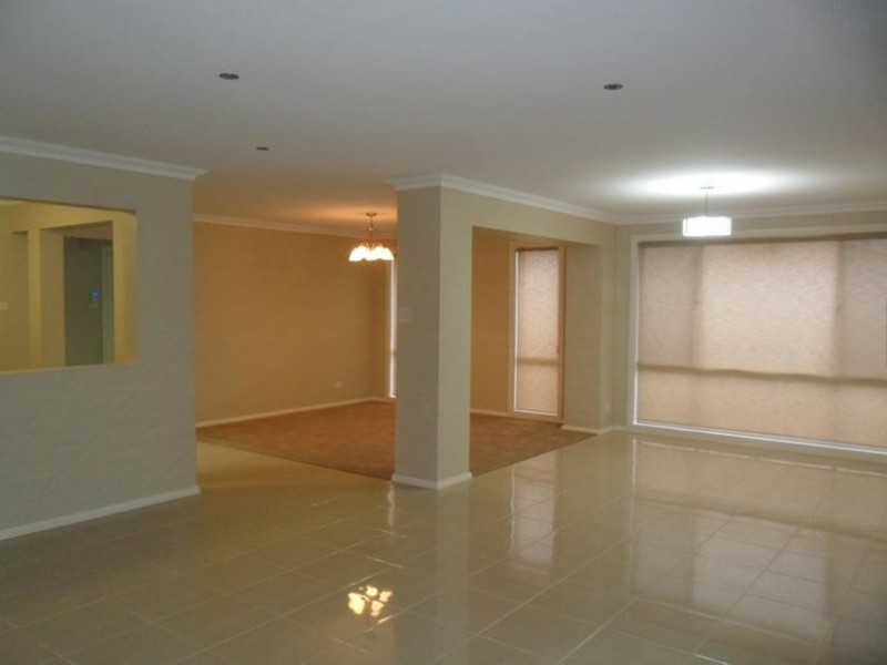 19 Bellinger St, The Ponds NSW 2769