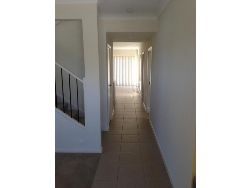 73 Hastings Street, The Ponds NSW 2769