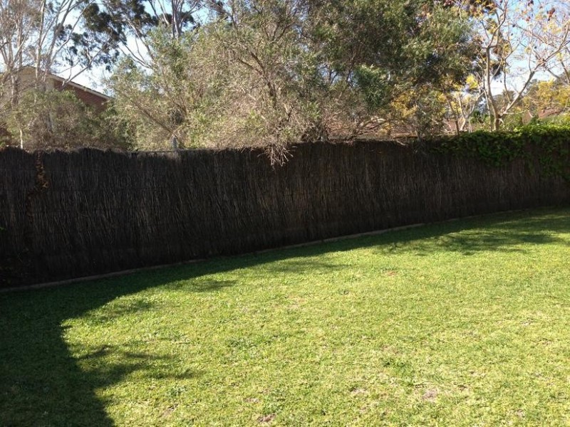 65 Donohue Street, Kings Park NSW 2148