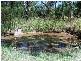 Twelve Mile Creek NSW 2324