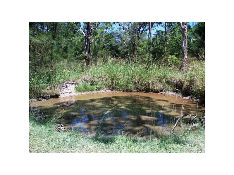 Twelve Mile Creek NSW 2324