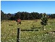 View Street, Vacy NSW 2421