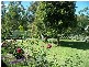 Clarence Town NSW 2321