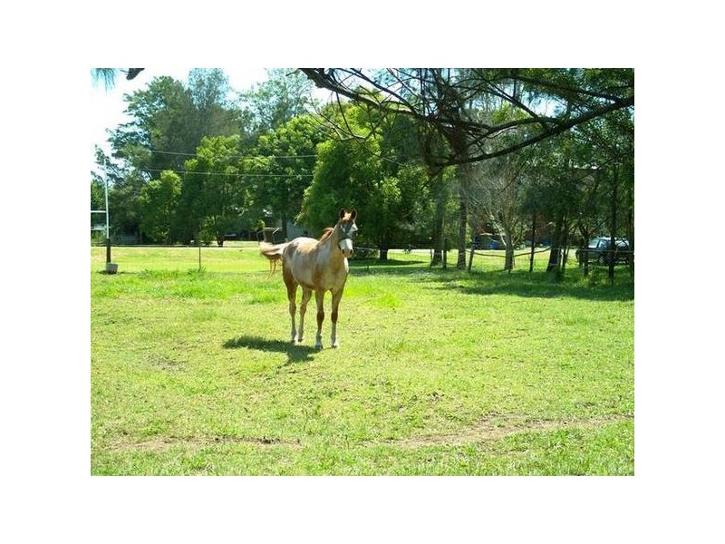 Raymond Terrace NSW 2324