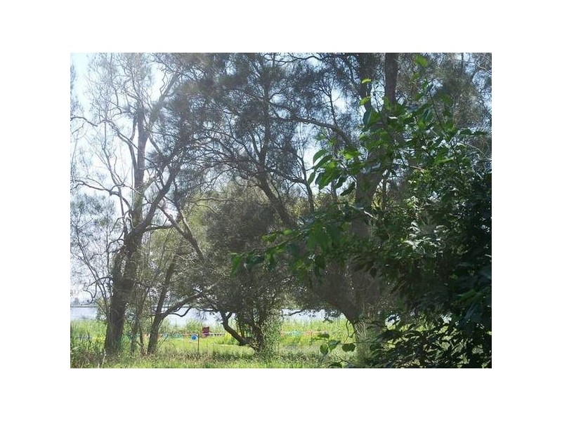 Raymond Terrace NSW 2324