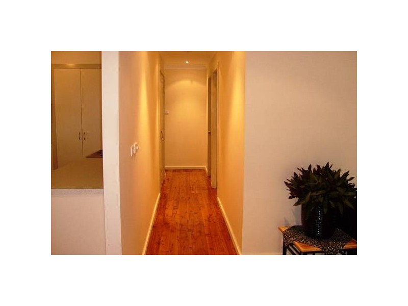 Lemon Tree Passage NSW 2319