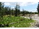 Salt Ash NSW 2318