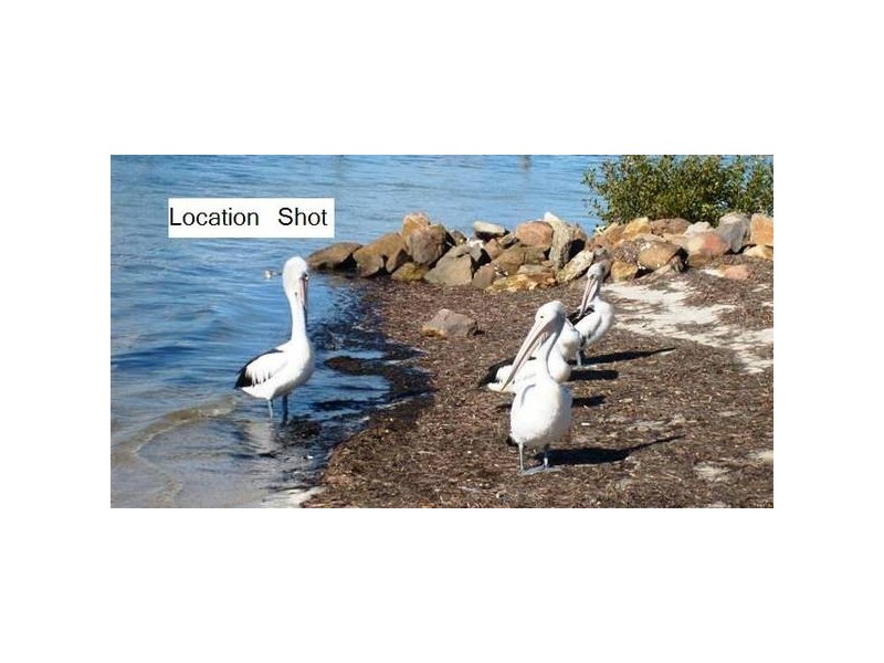 Lemon Tree Passage NSW 2319