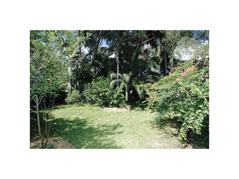 Lemon Tree Passage NSW 2319