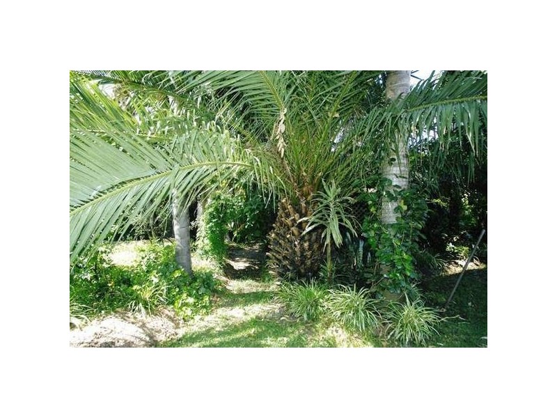 Lemon Tree Passage NSW 2319