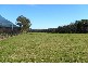 Medowie NSW 2318