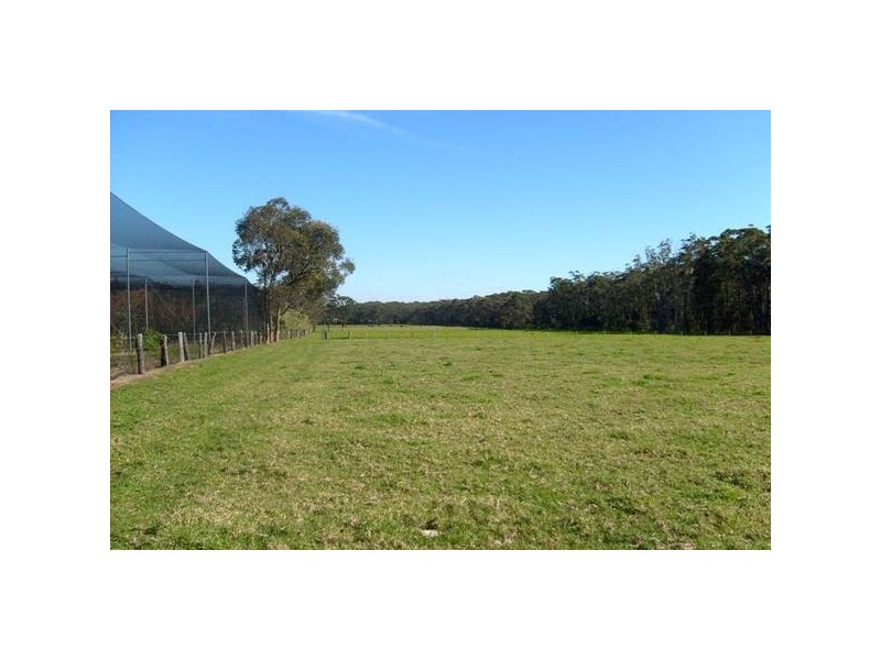 Medowie NSW 2318
