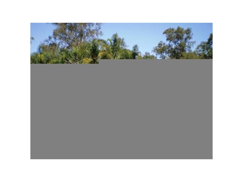 Nelsons Plains NSW 2324