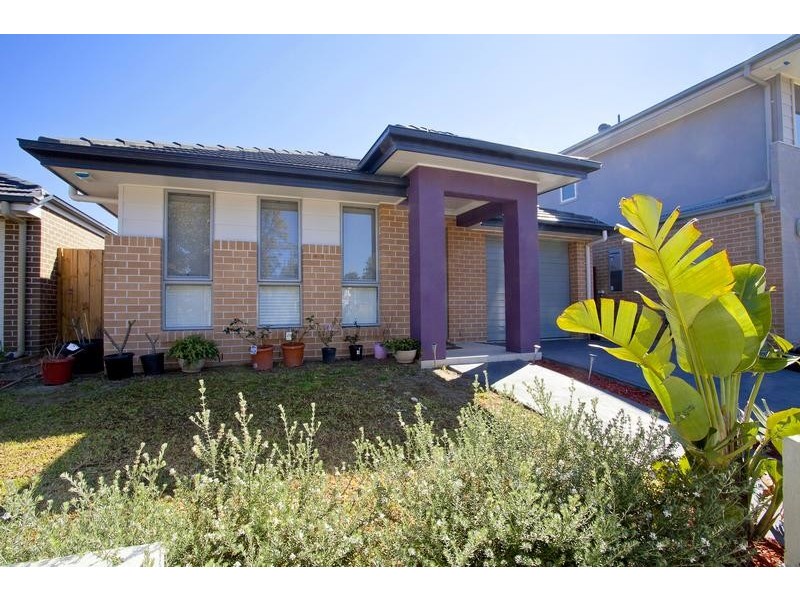 38 Avocet Circuit, Cranebrook NSW 2749