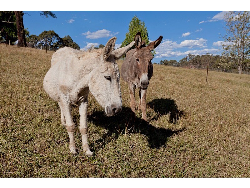 388 Fairlight Road, Mulgoa NSW 2745