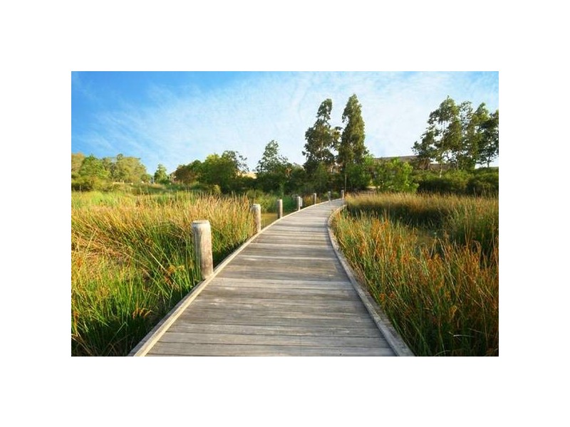 40 Luttrell Street, Glenmore Park NSW 2745