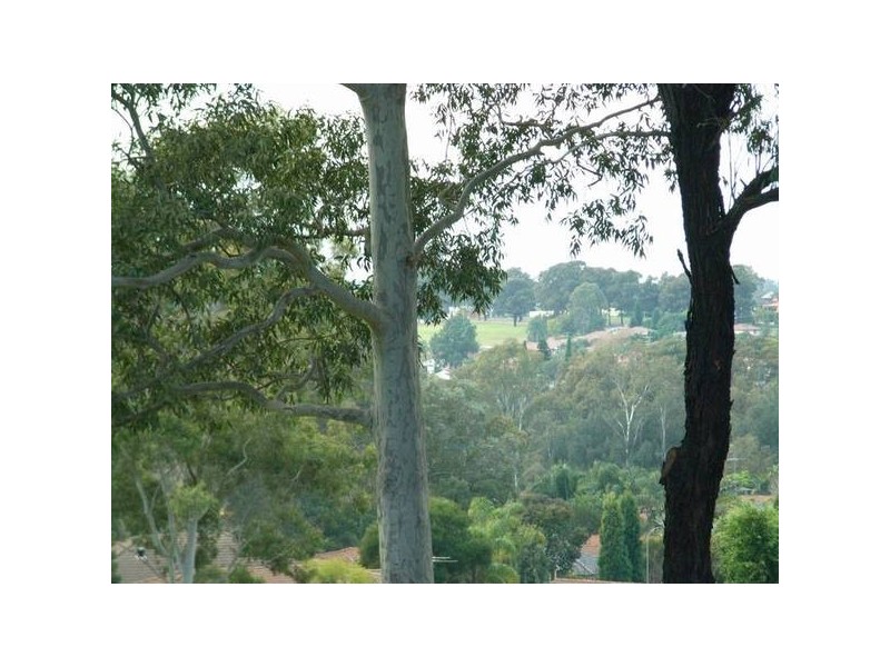 106 Seven Hills Road South Seven Hills, Seven Hills NSW 2147