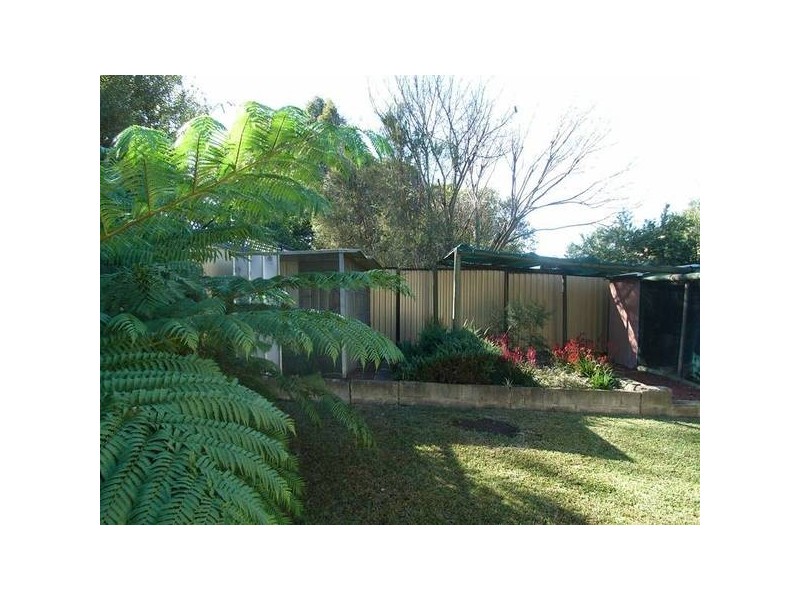 51 Abbott Rd, Seven Hills NSW 2147