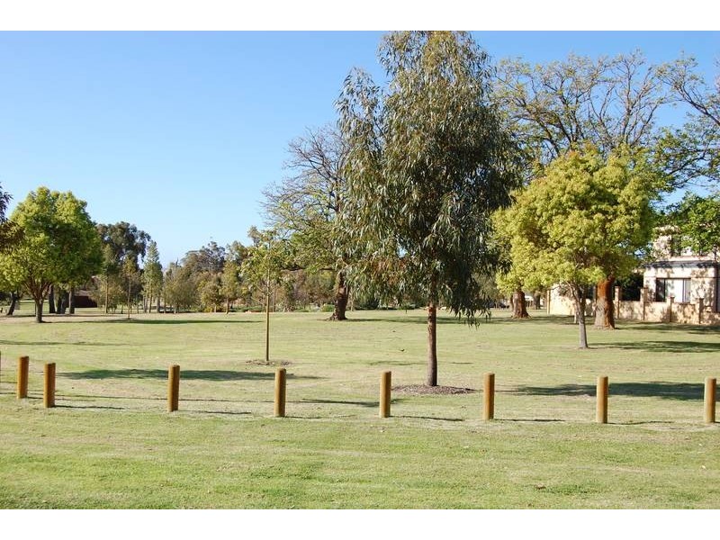 7A Selina St, Innaloo WA 6018