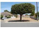 175 Herbert Street, Doubleview WA 6018