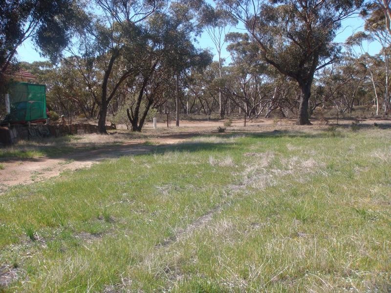 41 Talbot Street, Corrigin WA 6375