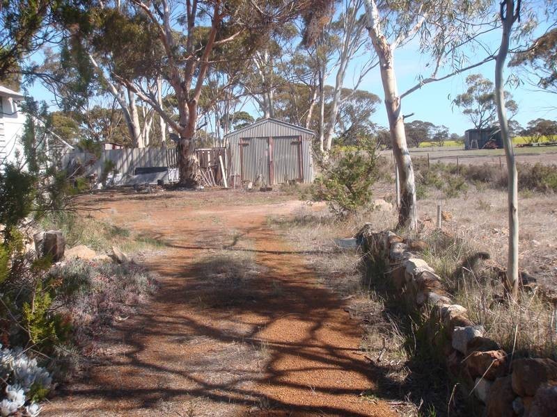 41 Talbot Street, Corrigin WA 6375