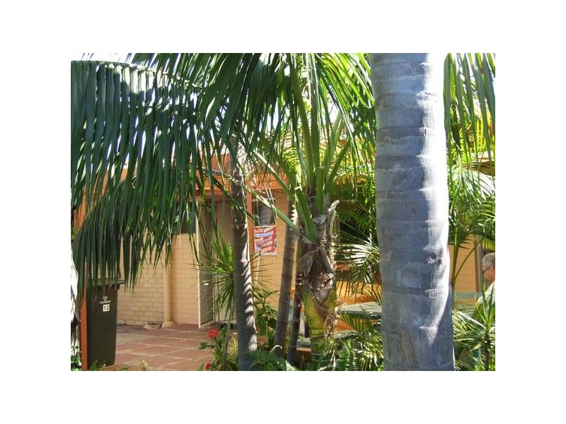 12 Gratwick Way, Koondoola WA 6064