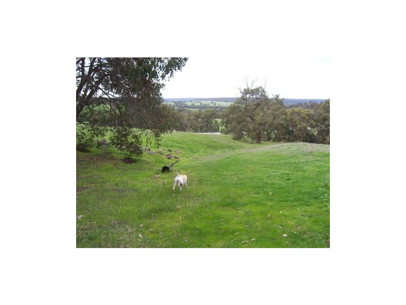 581 Dexter Chase, Lower Chittering WA 6084