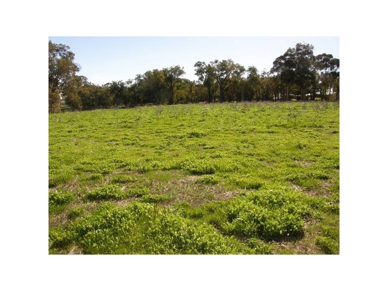 575 Dexter Chase, Lower Chittering WA 6084